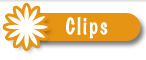 clips